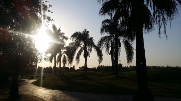 Egypt  - Giza - Dream land 