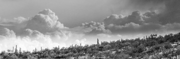 Arizona Monsoon Clouds In Black And White