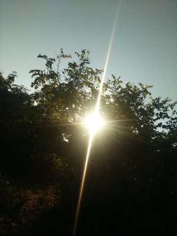 Güneş