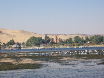 Egypt  - Nile River - Aswan 