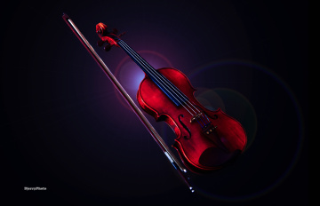 Violin
