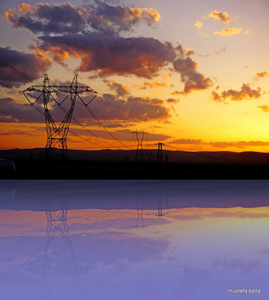 Minicix Hayatlar  DOĞU YAKASI BELYAZI 