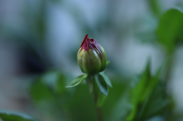 One