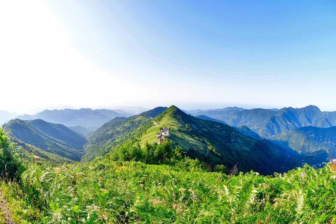 Kahvedüzü/Beşköy/Trabzon