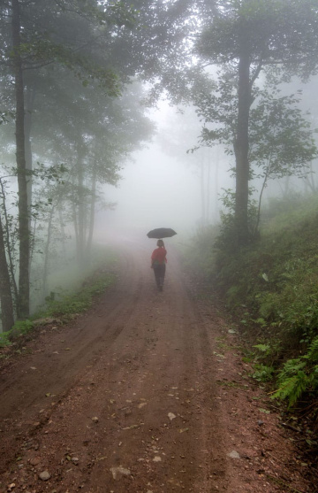 Trabzon Yaylalarında