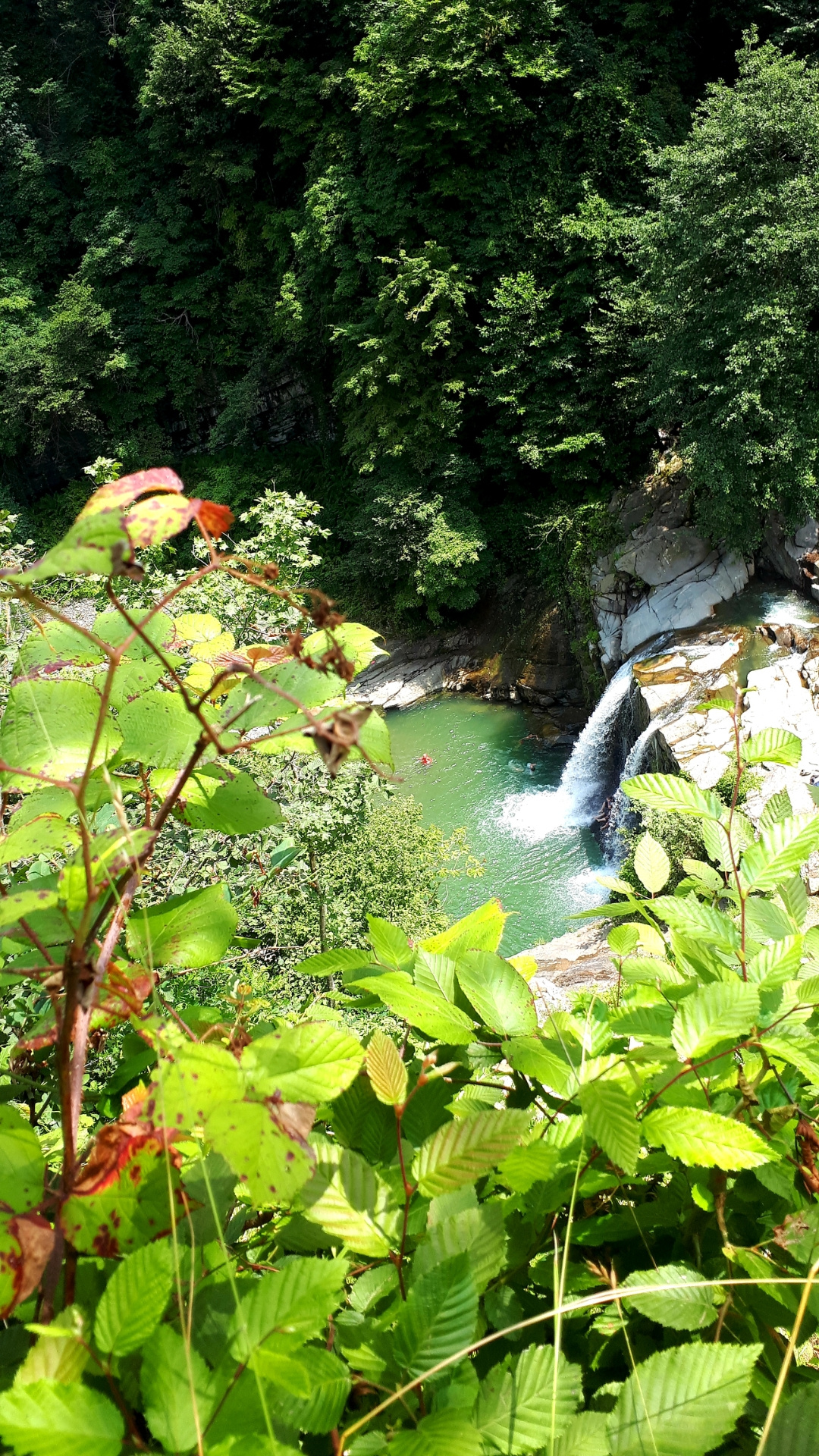 Ordu/çiseli şelalesi