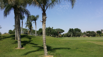 Egypt  - Giza - Dream land 