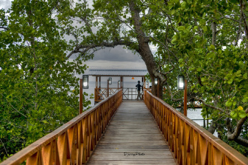 Bridge to Beach