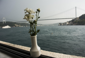 Çiçekler ve Boğaziçi / Flowers and Bosphorus