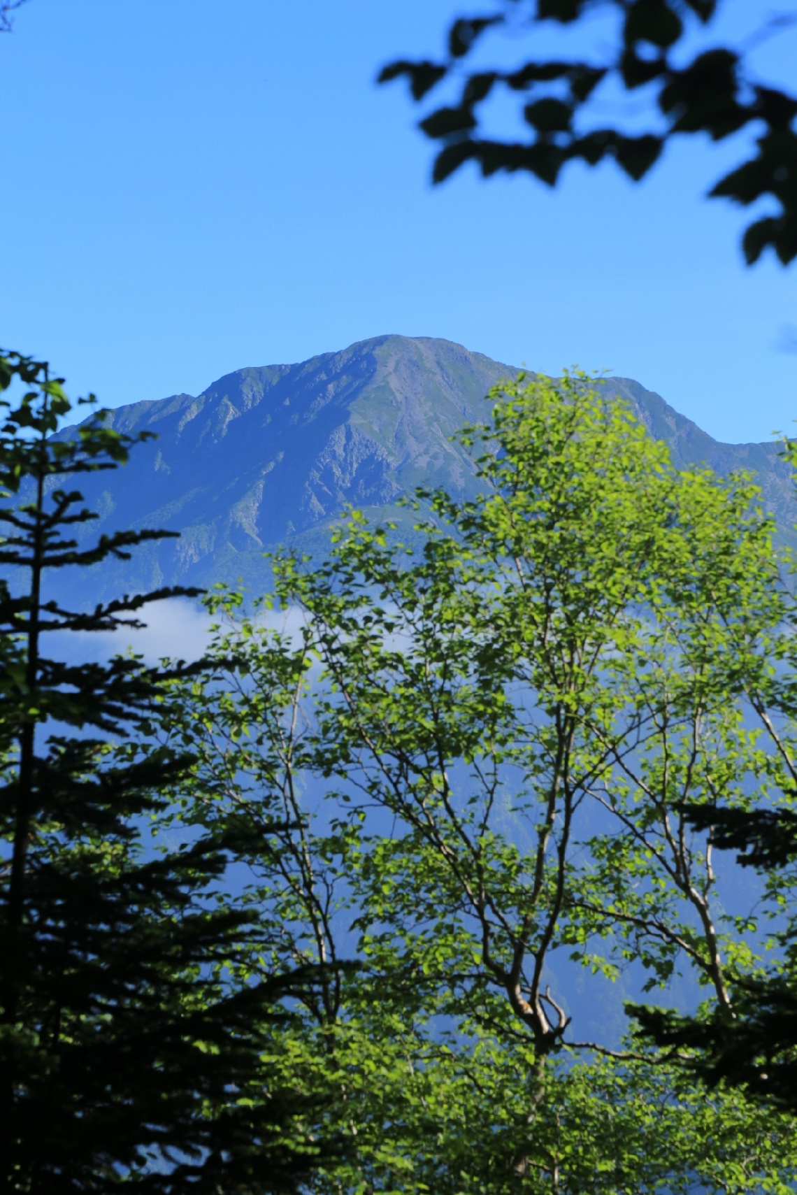 Morning mountain