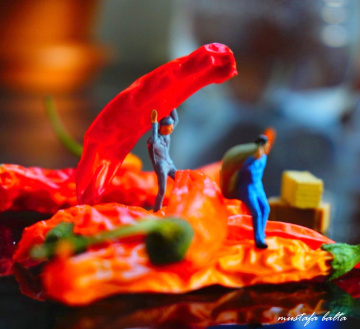 Miniciks Hayatlar  PEPPERONİ 