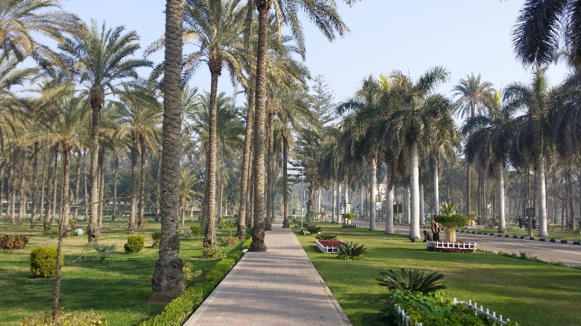 Egypt  - Alexandria - Almontazah 