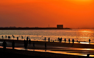 Blissful life at shore