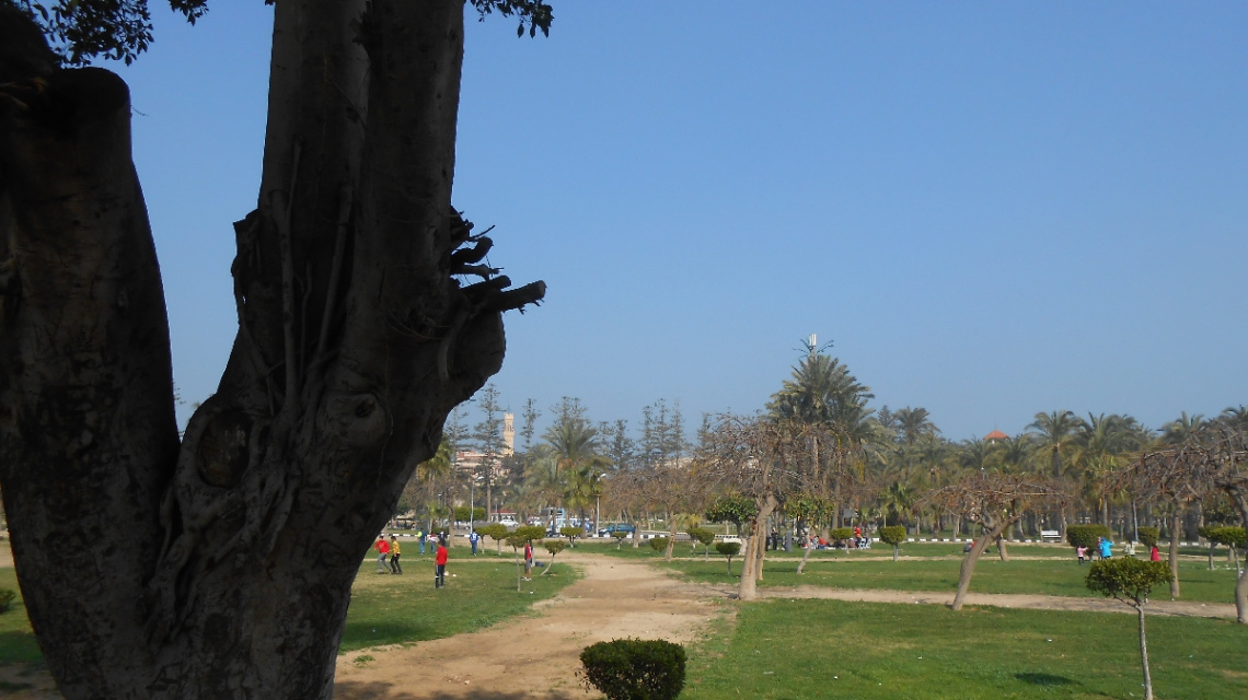 Egypt  - Alexandria - Almontazah 