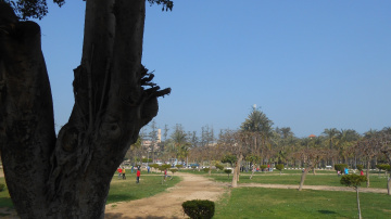 Egypt  - Alexandria - Almontazah 
