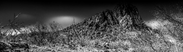 The Beauty Of Black And White In The Sonoran Deser
