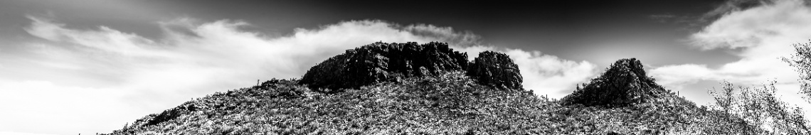 Panoramic Desert 