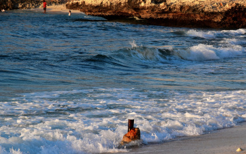 The Waves