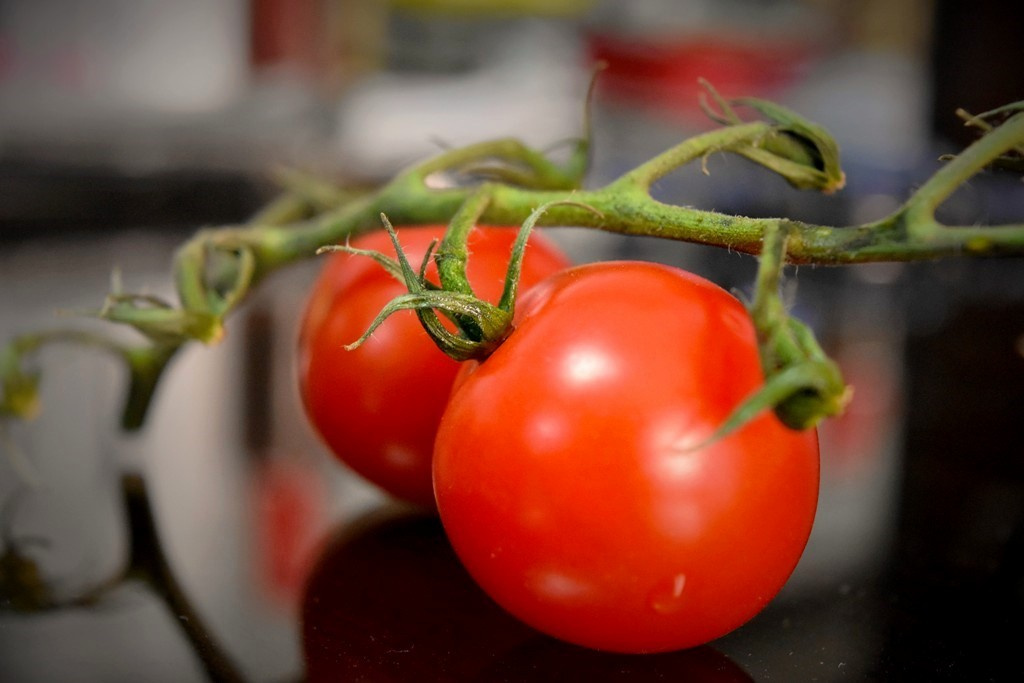 Fresh and Healthy