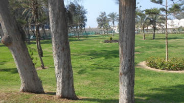 Egypt  - Alexandria - Almontazah 