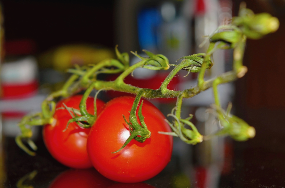 Fresh and Healthy 2