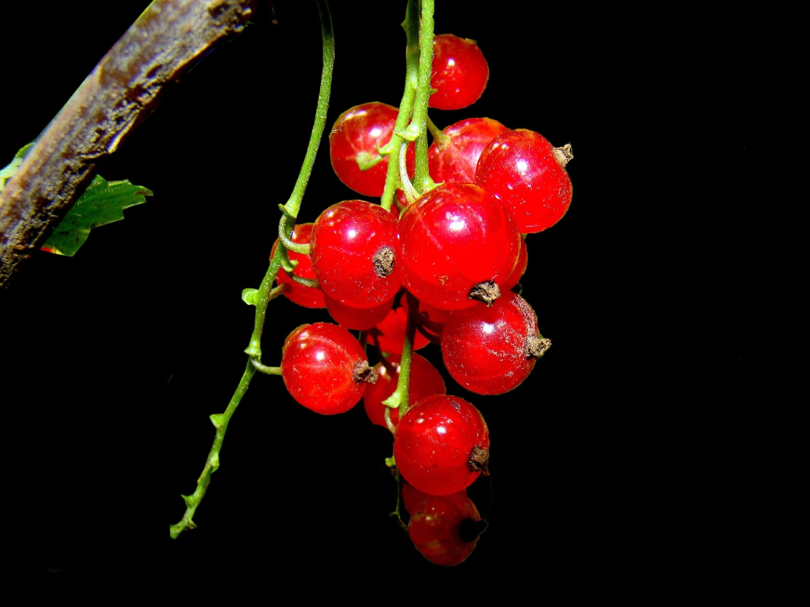 BEEREN