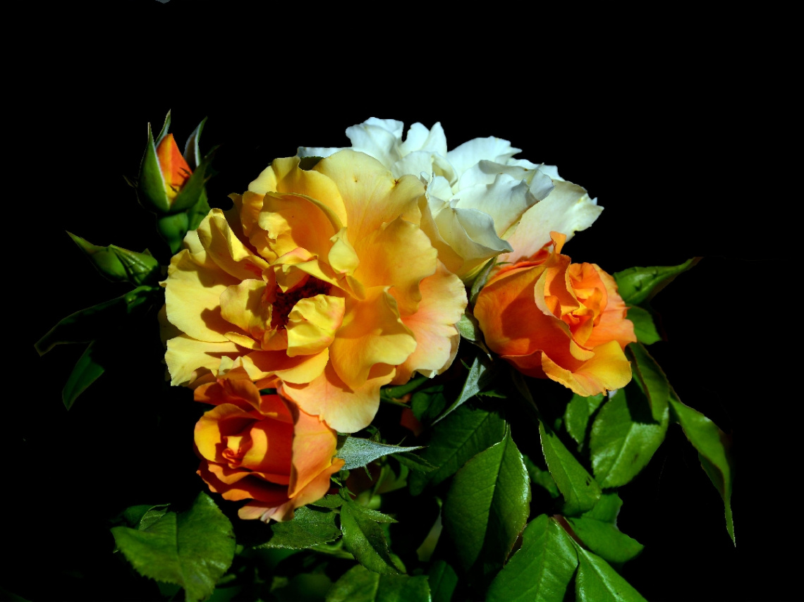 BLÜTEN