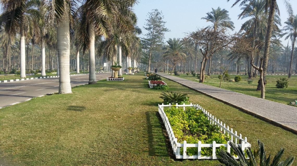 Egypt  - Alexandria - Almontazah 