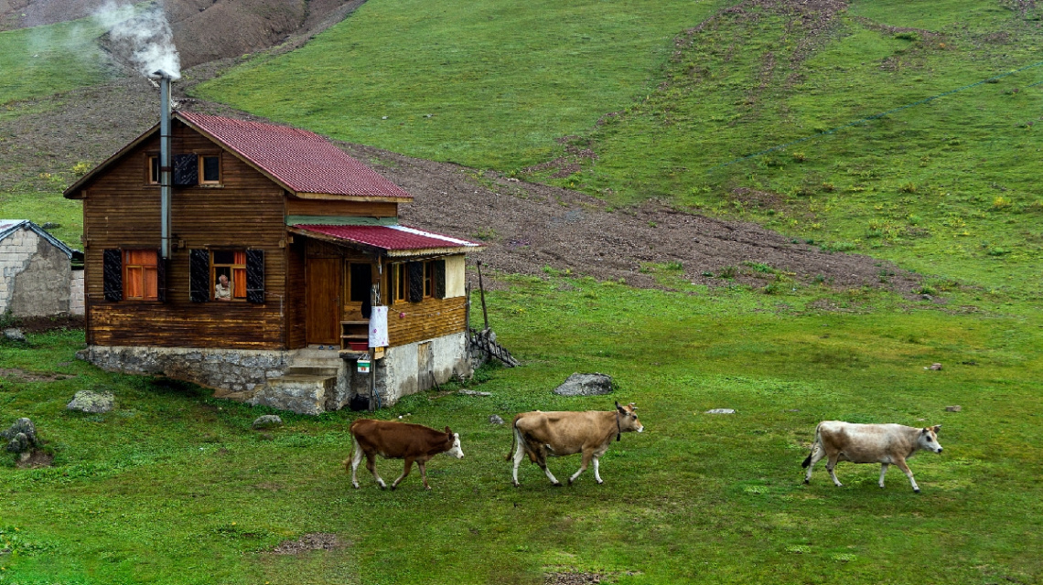Koçdüzü Yaylası.Ç.HEMŞİN.