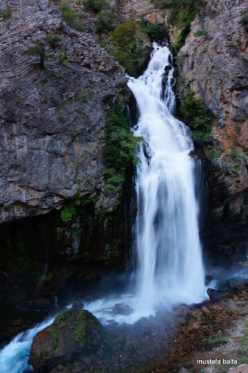 Miniciks Hayatlar KAPUZBAŞI 