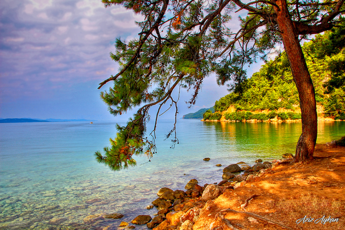 Akyaka Orman Kampı