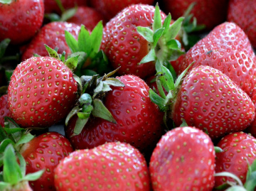 ERDBEEREN