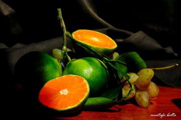 Miniciks Hayatları   MANDARIN 