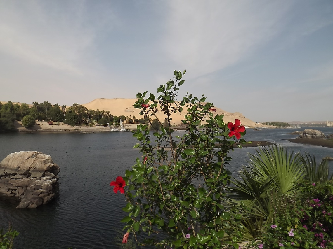 Egypt  - Aswan