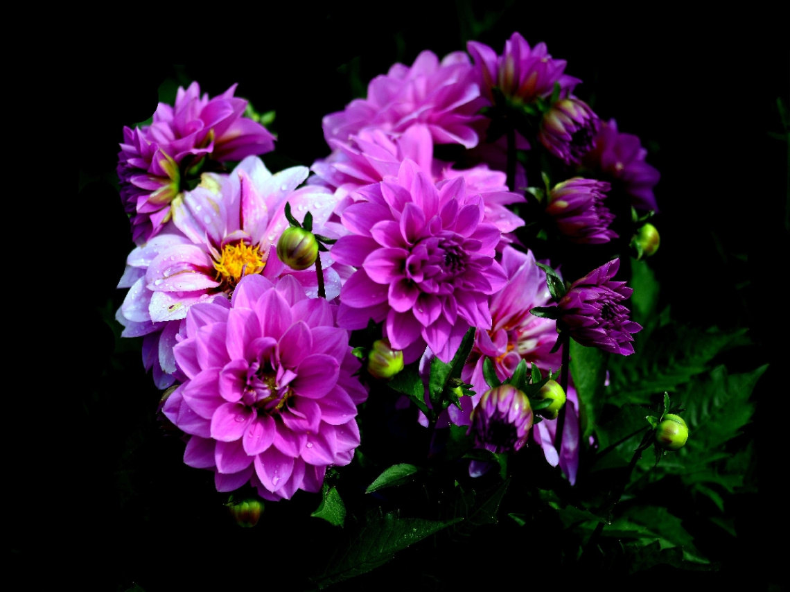 BLÜTEN