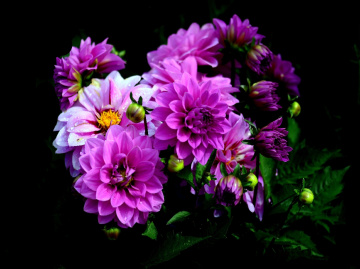 BLÜTEN