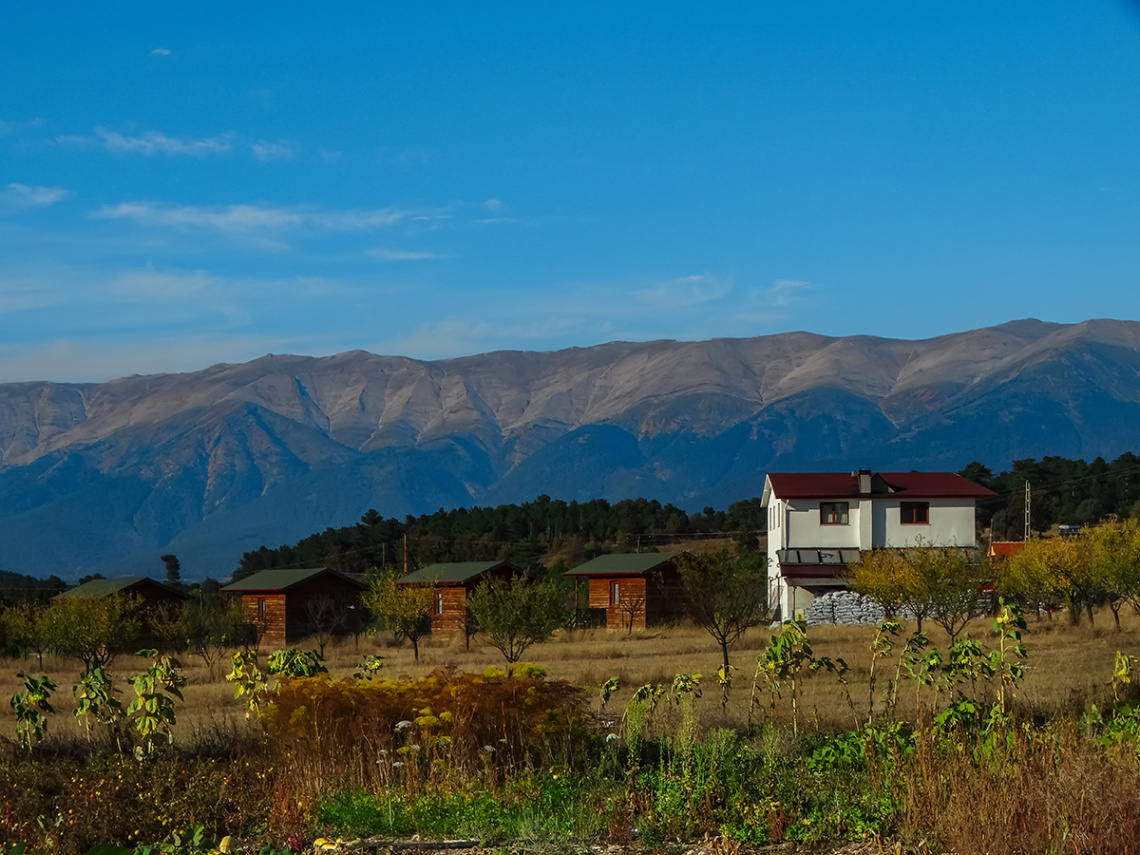 Gököz