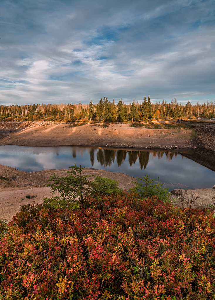 Oderteich Harz Mountains