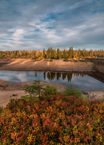 Oderteich Harz Mountains
