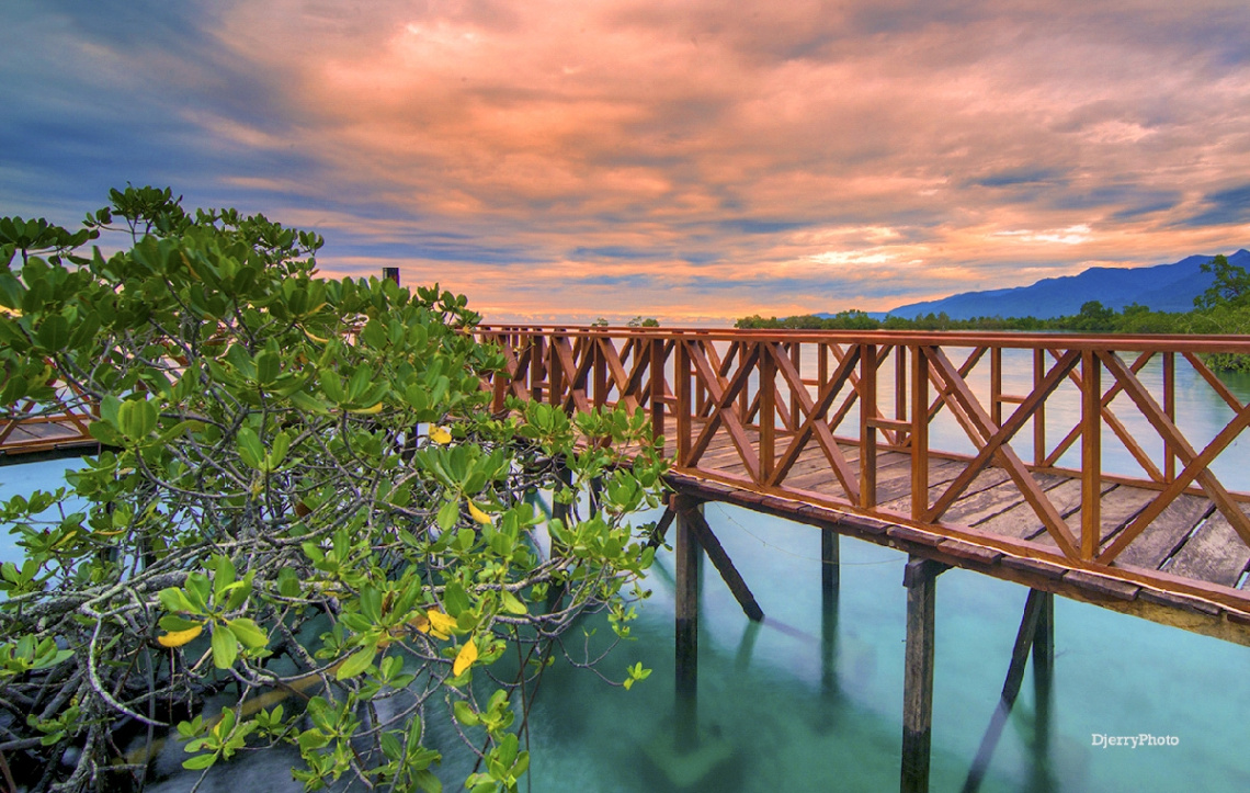 wooden bridge