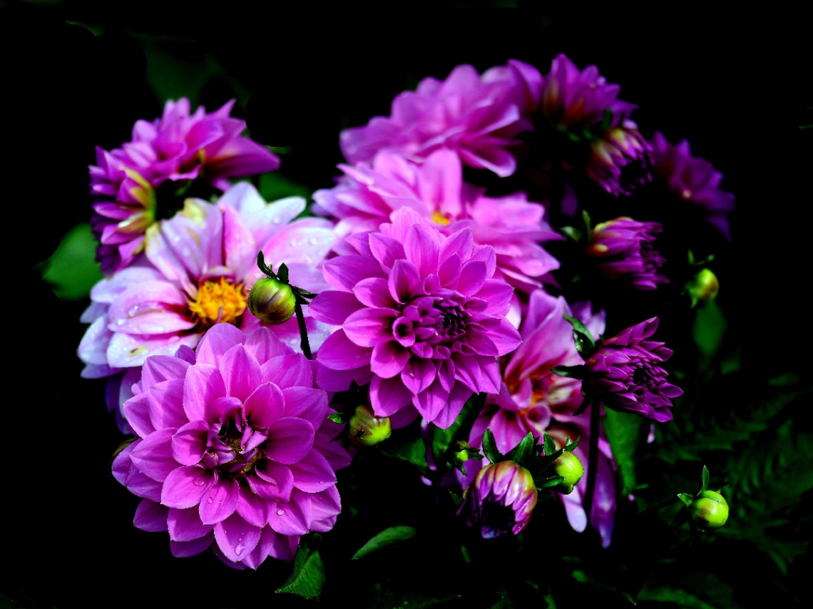 BLÜTEN