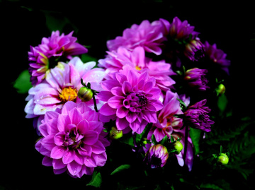 BLÜTEN