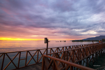 wooden bridge