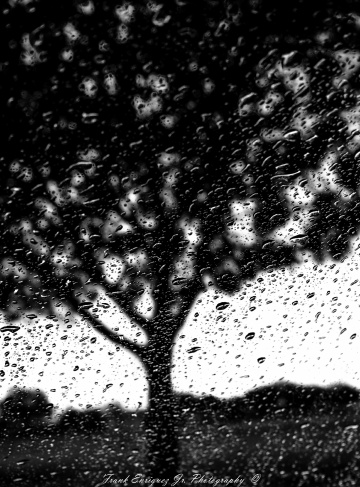 Black And White Rain