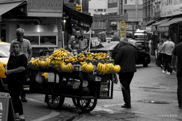 Miniciks Hayatlar  ODAKSAL MUZ 