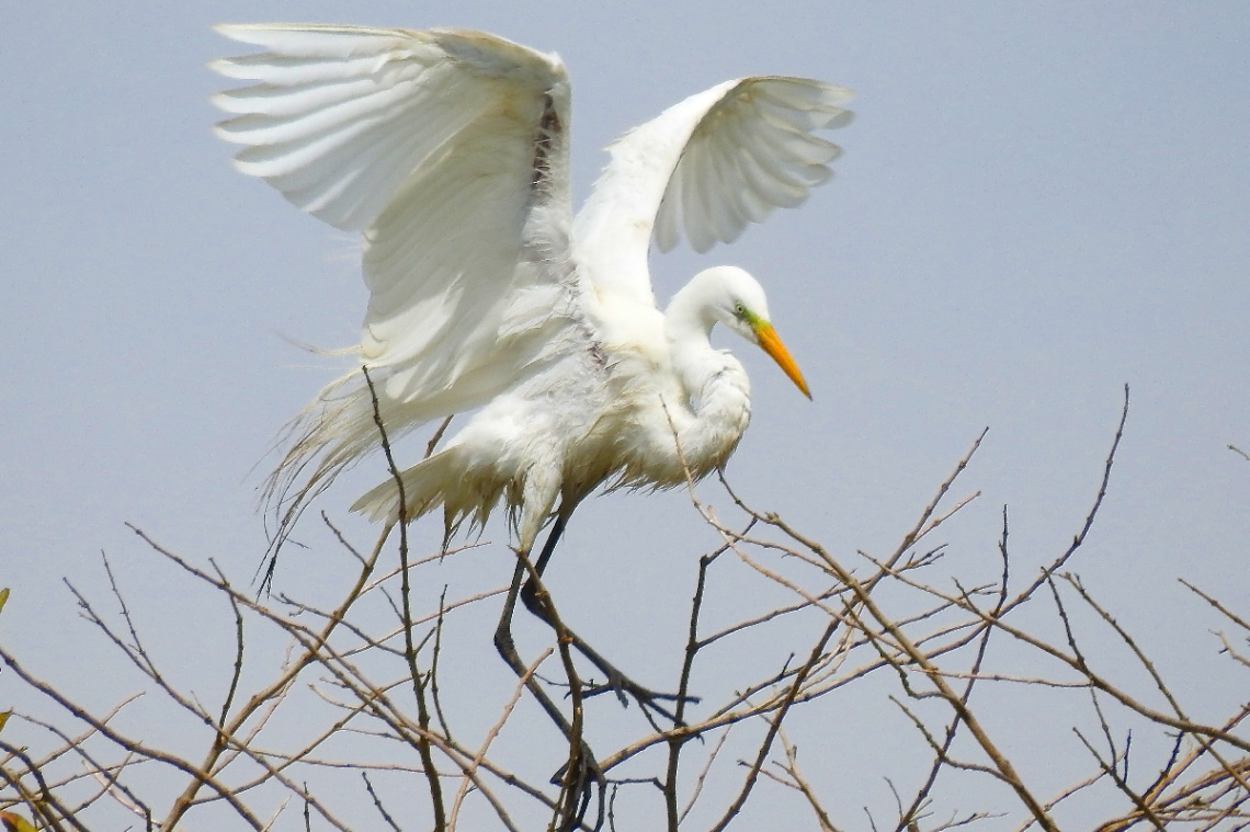 Training the wings to fly...