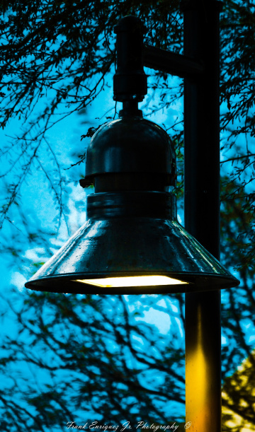 After An Arizona Early Evening Rain