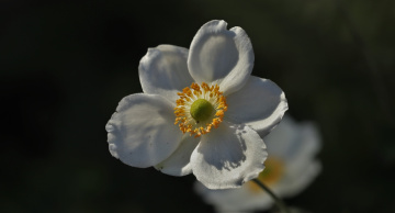 One