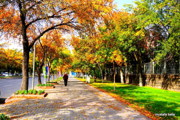 BELYAZININ SONBAHARI 