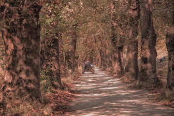 Çınarlı Yol - Kestel Dudaklı Köyü